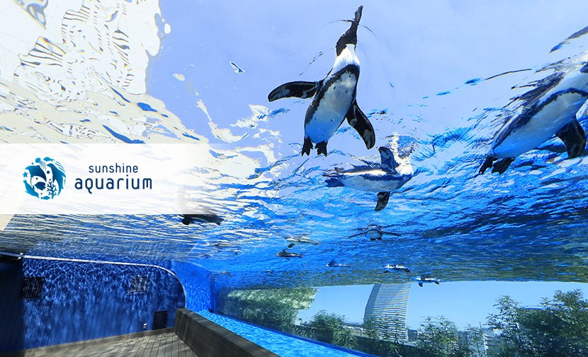 sunshine aquarium