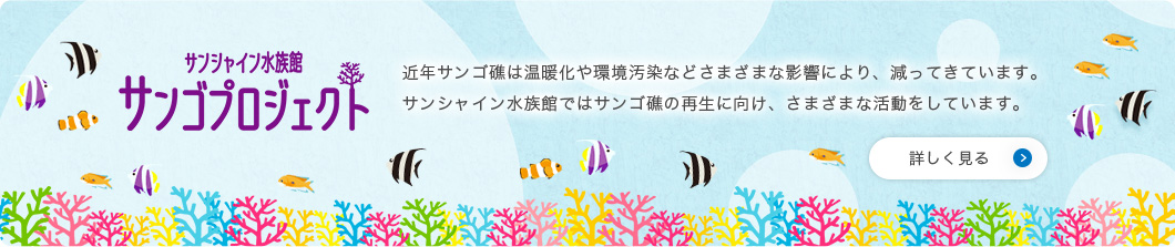 サンシャイン水族館 サンゴプロジェクト　近年サンゴ礁は温暖化や環境汚染などさまざまな影響により、減ってきています。サンシャイン水族館ではサンゴ礁の再生に向け、さまざまな活動をしています。