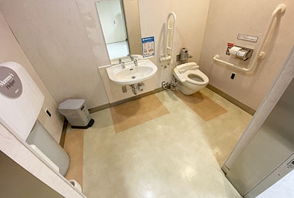 ワールドインポートマートビルB1優先トイレの全体を撮影した写真
